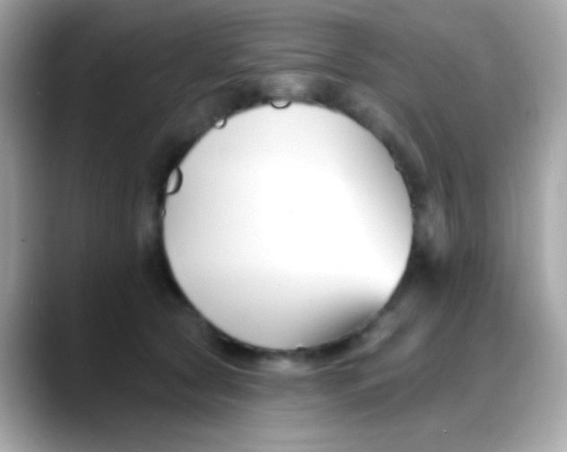 X0000088040561200706011326