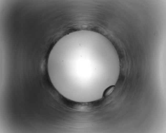 X0000088040563200706011326