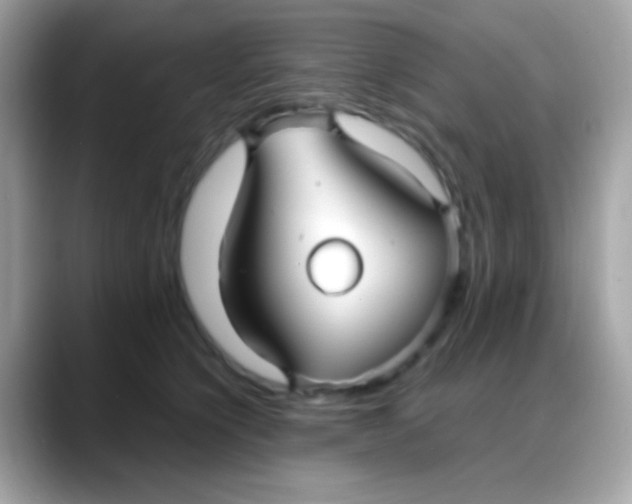 X0000088040564200706011326