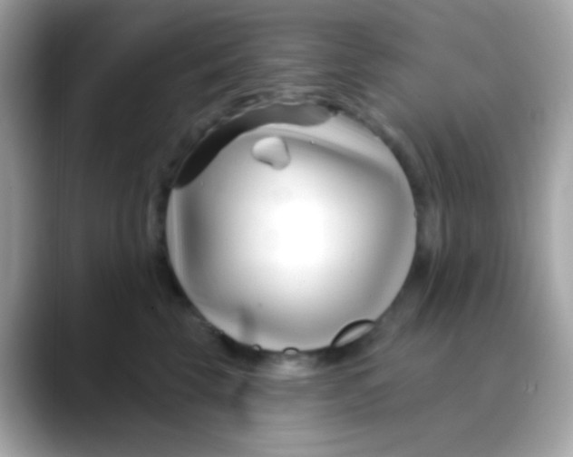 X0000088040569200706011326