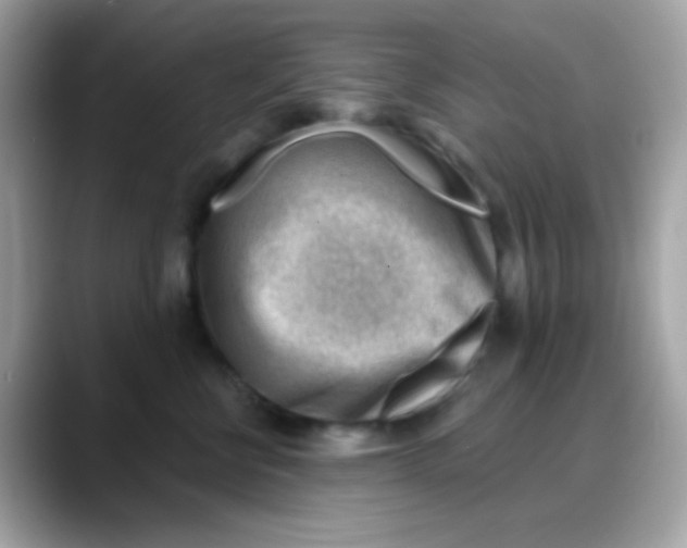 X0000088040570200706011326