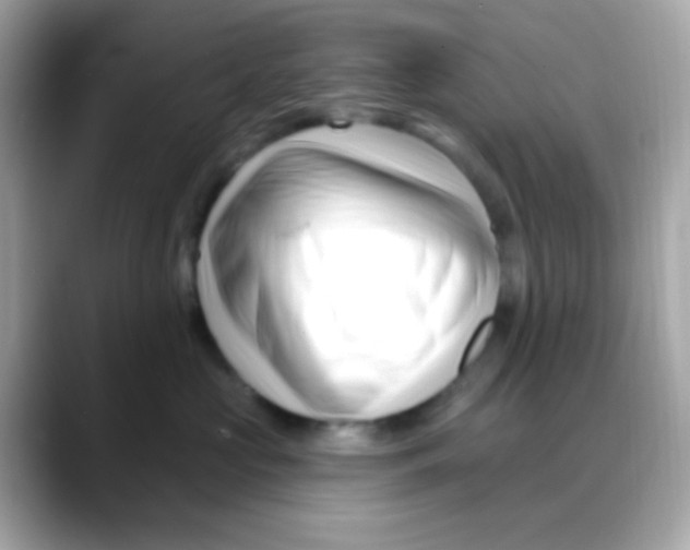 X0000088040573200706011326