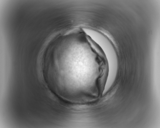 X0000088040577200706011325