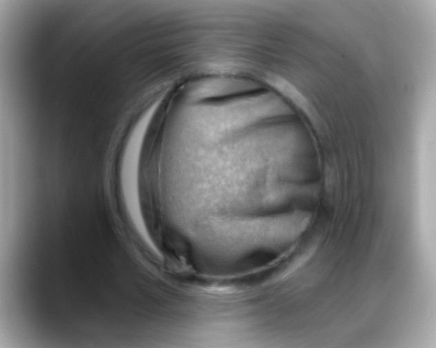 X0000088040581200706011325