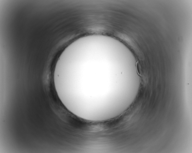 X0000088040583200706011325