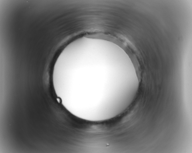 X0000088040584200706011325