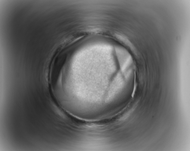 X0000088040585200706011325