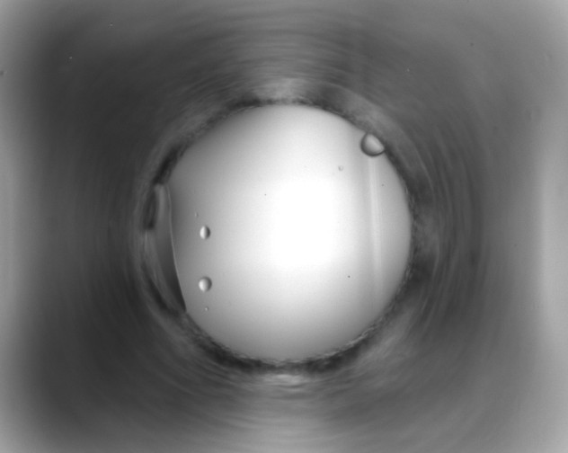 X0000088040586200706011325