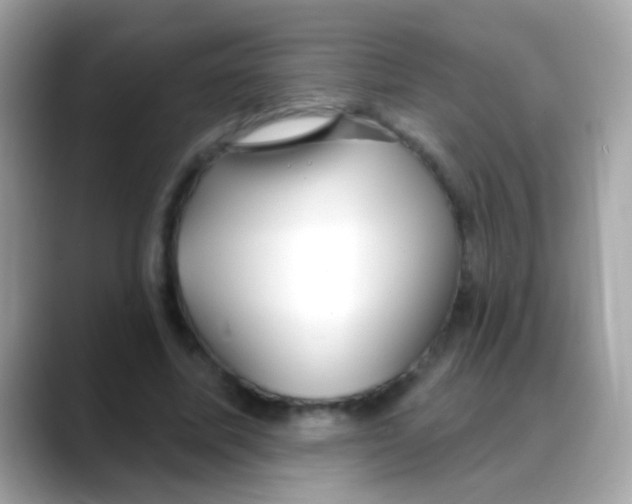 X0000088040587200706011325