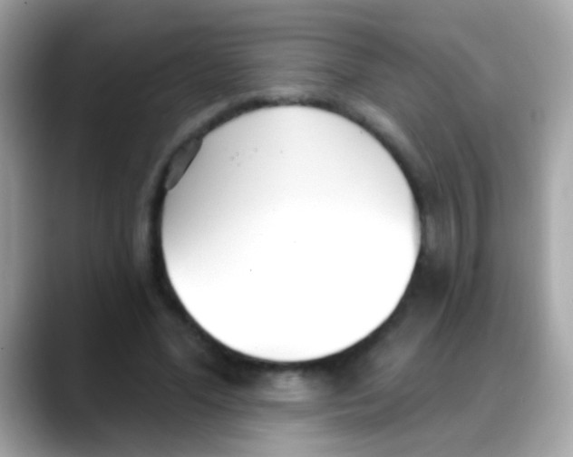 X0000088040588200706011325