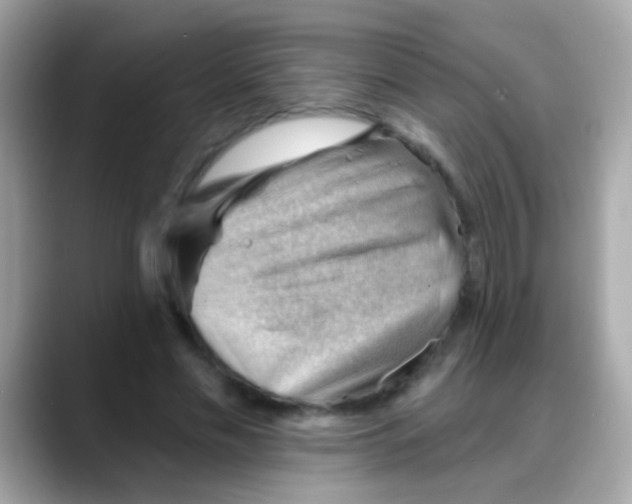 X0000088040589200706011325