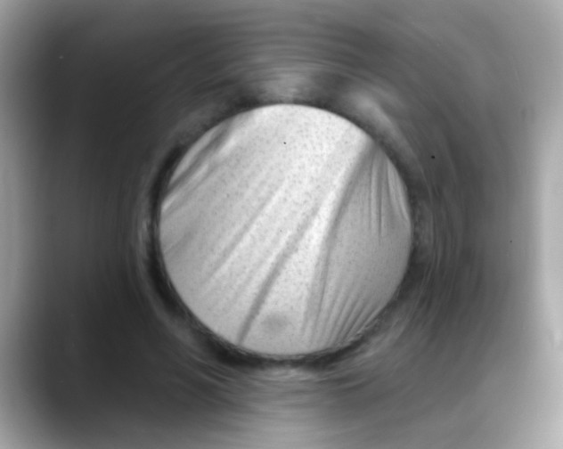 X0000088040590200706011325