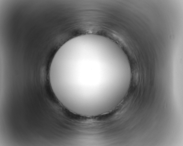 X0000088040594200706011325