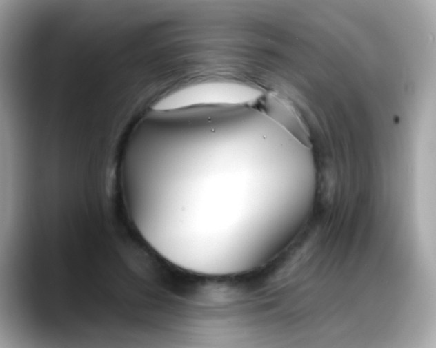 X0000088040596200706011325