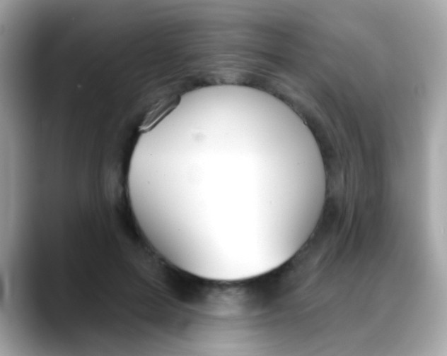 X0000088040599200706011325