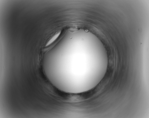 X0000088040605200706011325