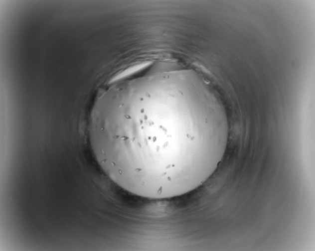 X0000088040609200706011325