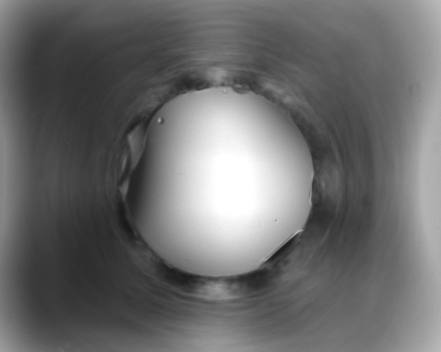 X0000088040611200706011325