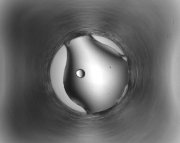 X0000088040613200706011325