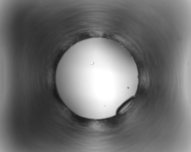 X0000088040616200706011325