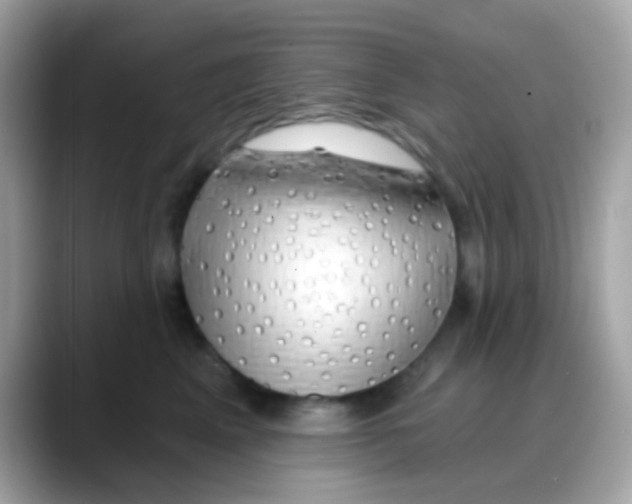 X0000088040617200706011325