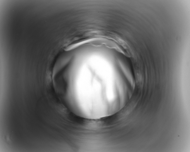 X0000088040621200706011325