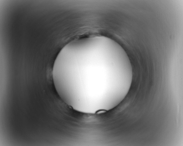 X0000088040624200706011325