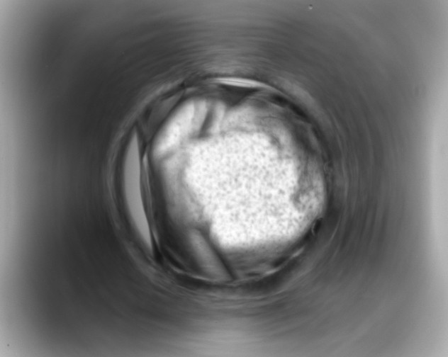 X0000088040626200706011324