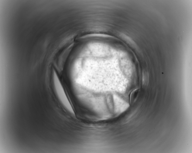 X0000088040627200706011324