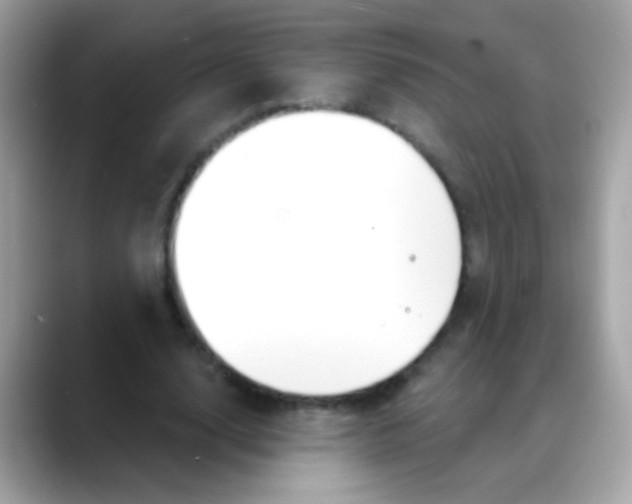 X0000088040632200706011324