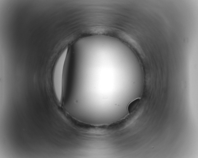 X0000088040633200706011324