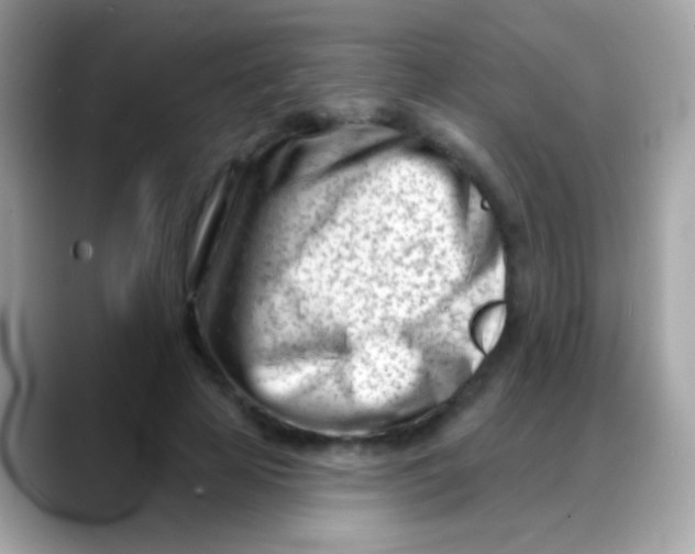 X0000088040641200706011324