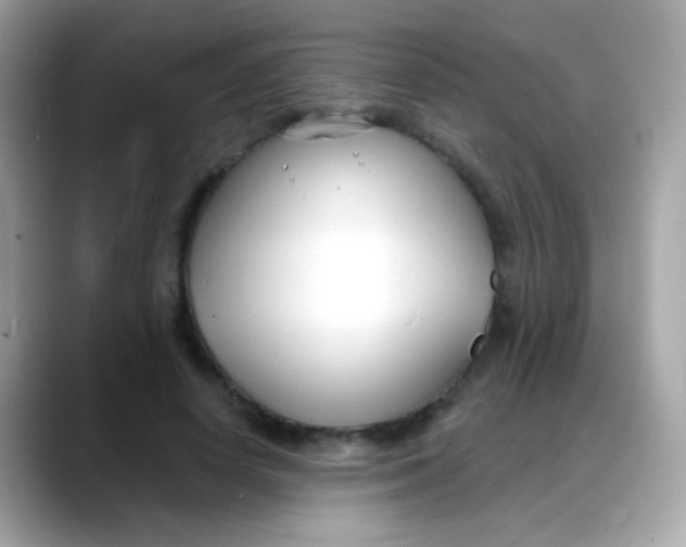 X0000088040642200706011325