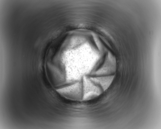 X0000088040643200706011325