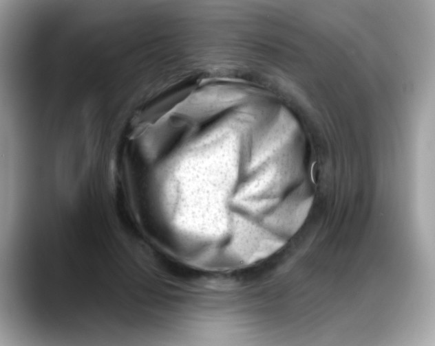 X0000088040644200706011325