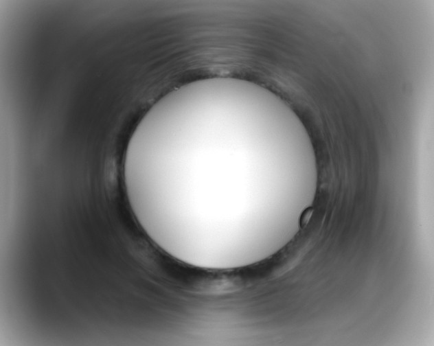 X0000088040646200706011325