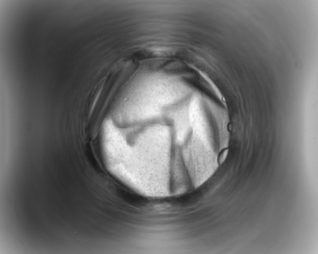 X0000088040650200706011325