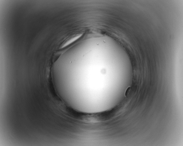 X0000088040652200706011325