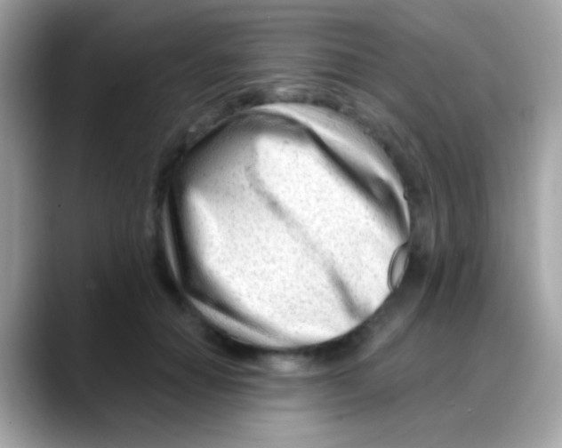 X0000088040654200706011325