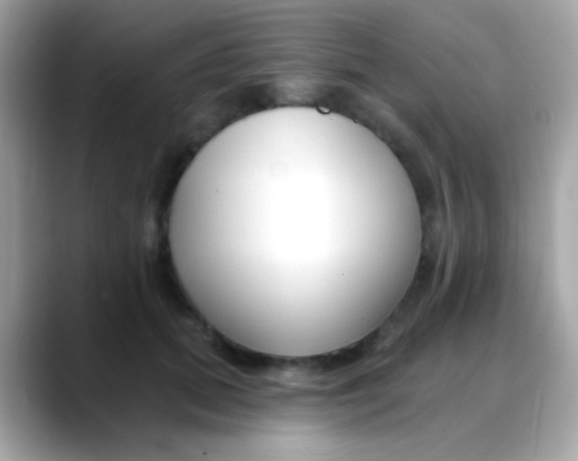 X0000088040655200706011325