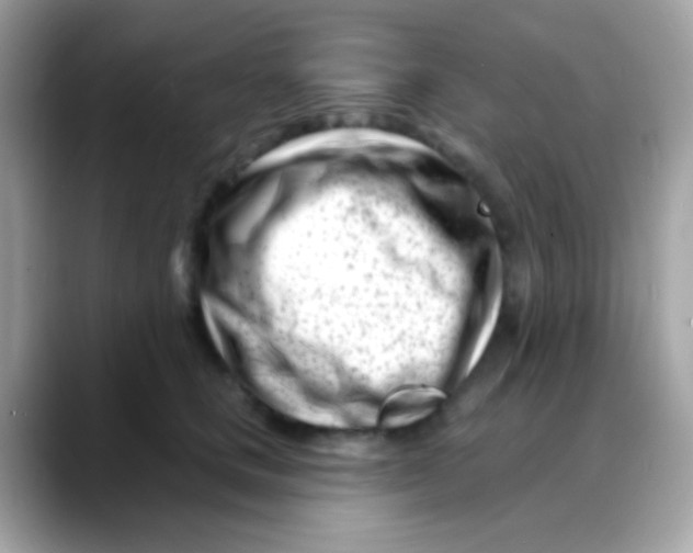 X0000088040661200706011325