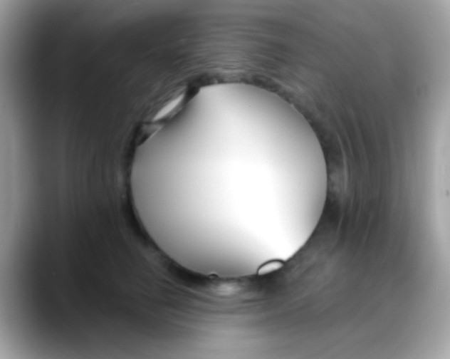 X0000088040662200706011325