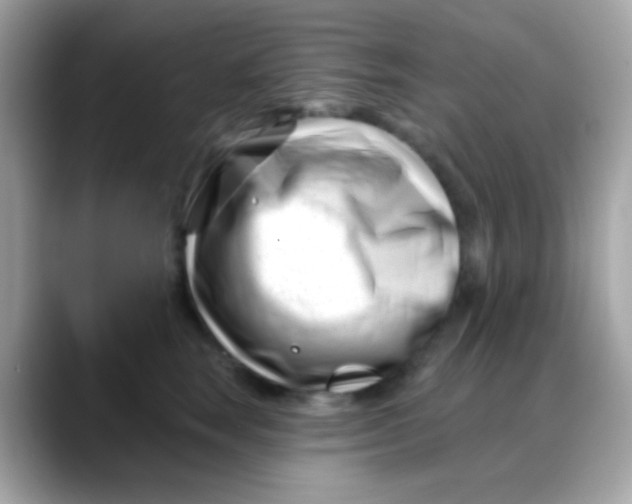 X0000088040663200706011325