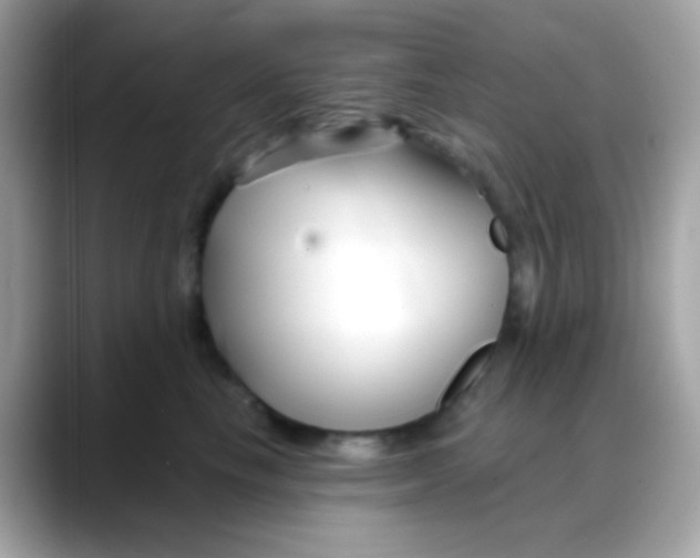 X0000088040665200706011325