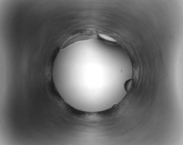 X0000088040666200706011325