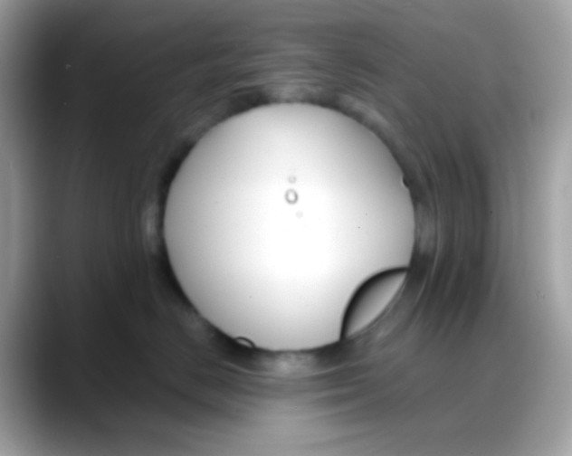 X0000088040670200706011325