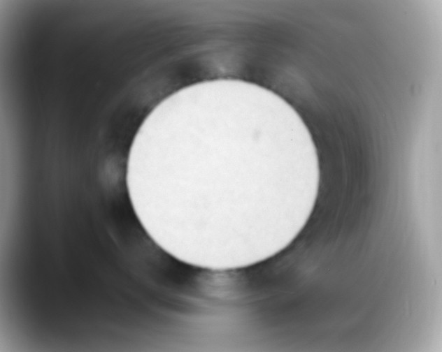 X0000088040672200706011325