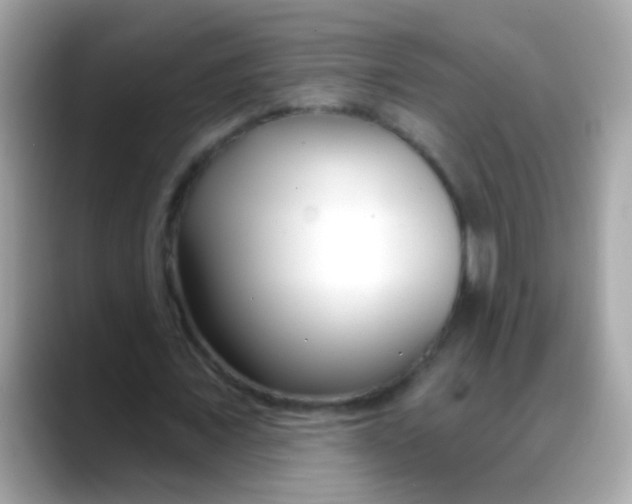 X0000088040675200706011324