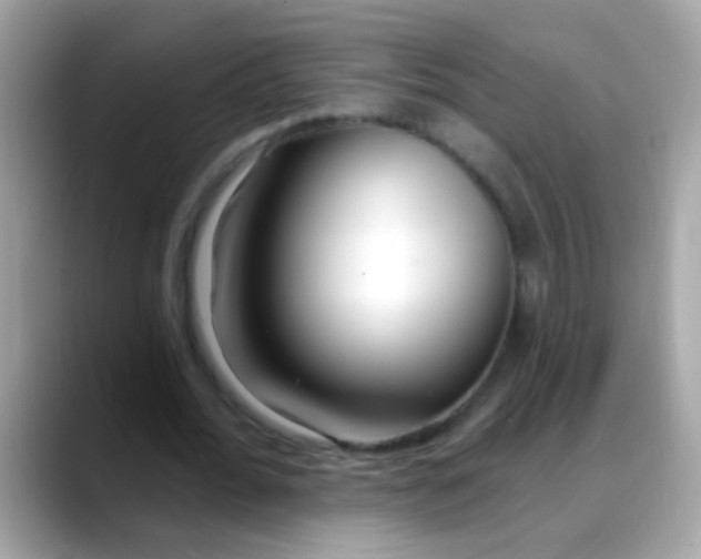 X0000088040676200706011324