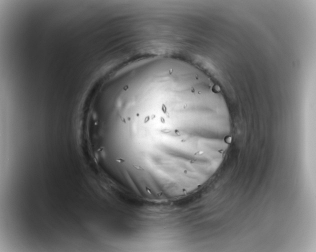 X0000088040679200706011324